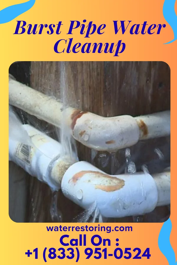 Burst Pipe Water Cleanup in Telford, PA