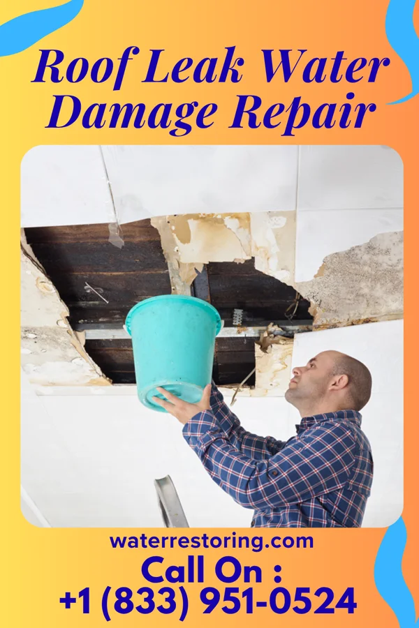 Roof Leak Water Damage Repair in Telford, PA