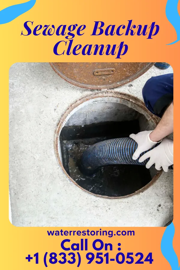 Sewage Backup Cleanup in Telford, PA
