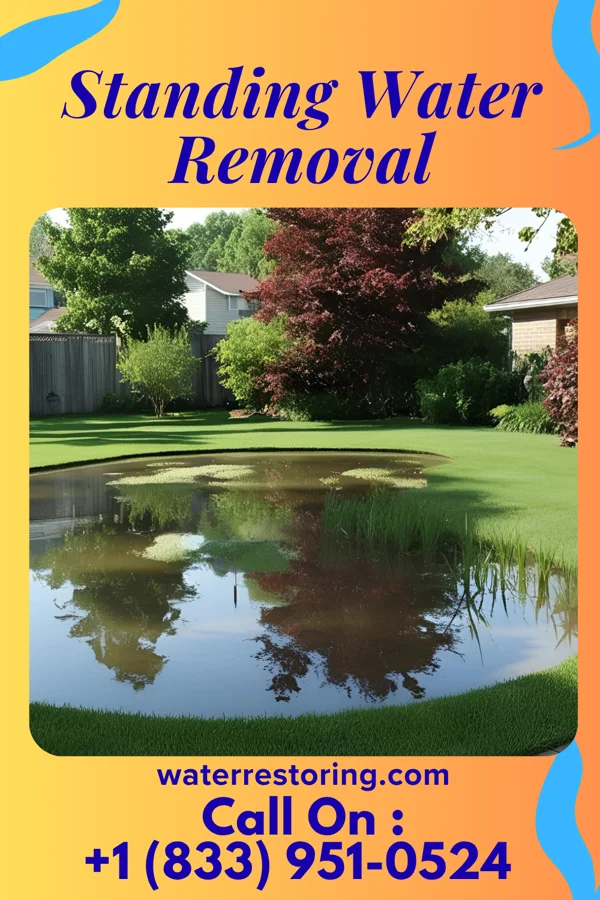Standing Water Removal in Telford, PA